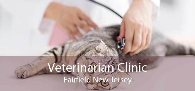 Veterinarian Clinic Fairfield New Jersey