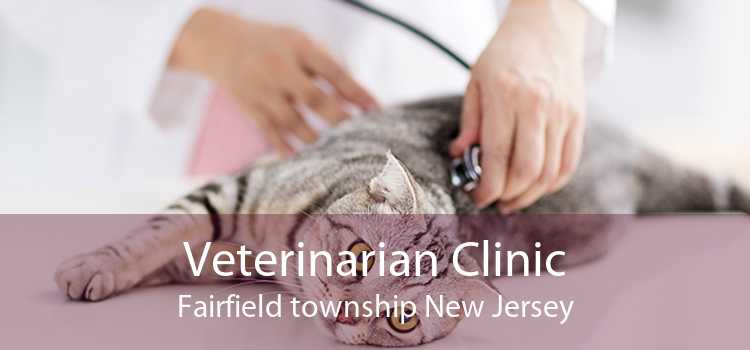 Veterinarian Clinic Fairfield township New Jersey