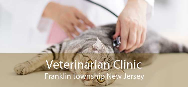 Veterinarian Clinic Franklin township New Jersey