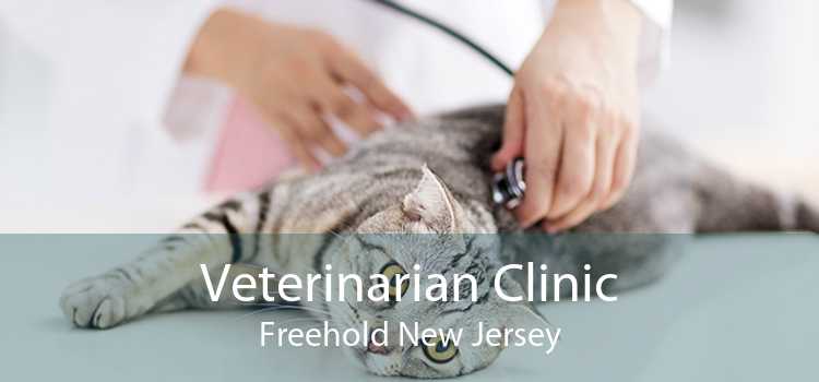 Veterinarian Clinic Freehold New Jersey