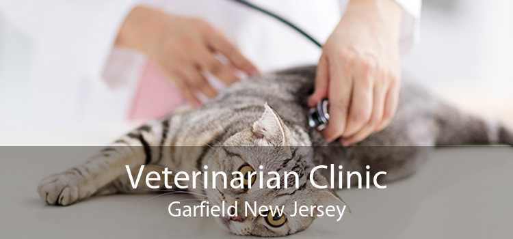 Veterinarian Clinic Garfield New Jersey