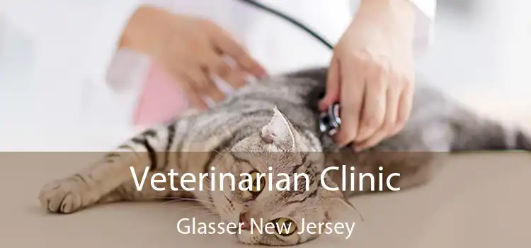 Veterinarian Clinic Glasser New Jersey