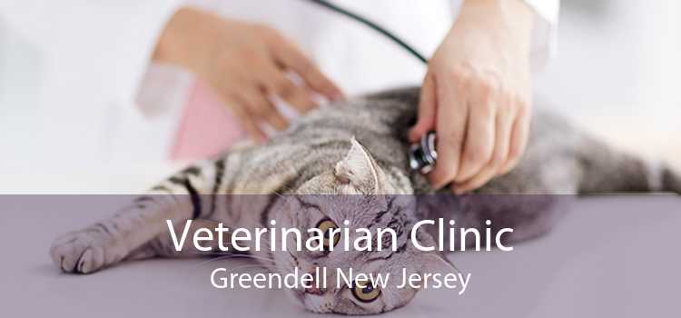 Veterinarian Clinic Greendell New Jersey