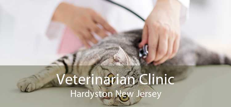 Veterinarian Clinic Hardyston New Jersey