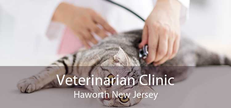 Veterinarian Clinic Haworth New Jersey