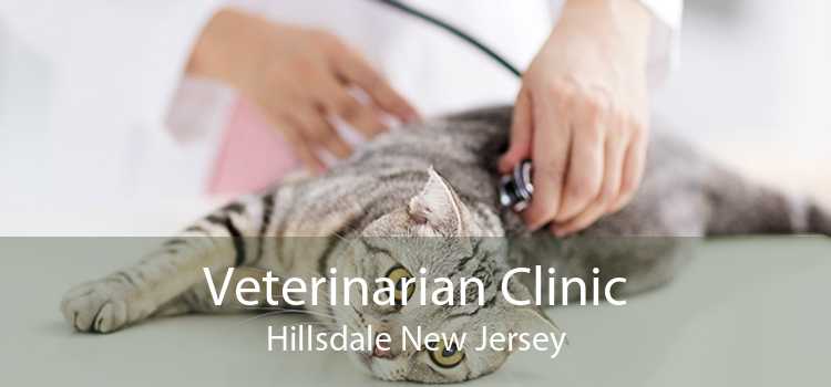 Veterinarian Clinic Hillsdale New Jersey