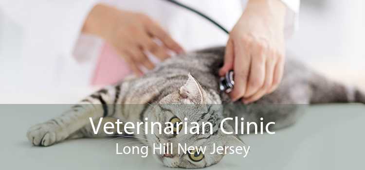 Veterinarian Clinic Long Hill New Jersey