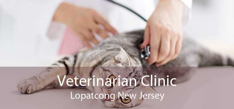 Veterinarian Clinic Lopatcong New Jersey
