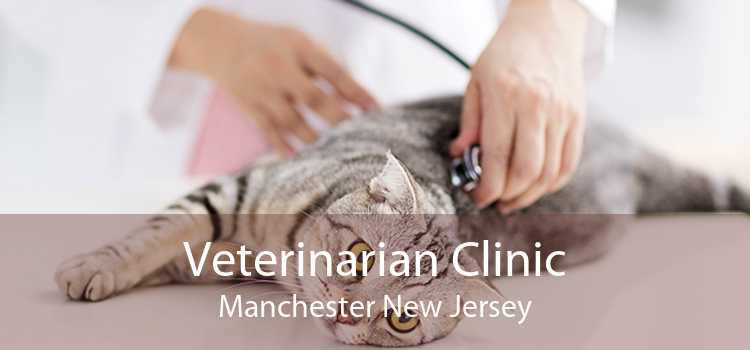 Veterinarian Clinic Manchester New Jersey