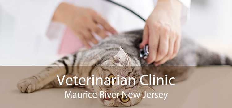 Veterinarian Clinic Maurice River New Jersey