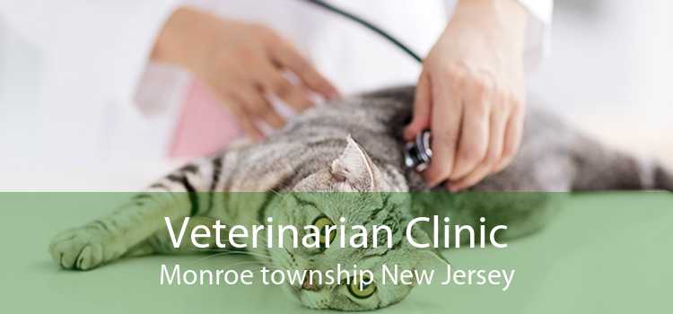Veterinarian Clinic Monroe township New Jersey