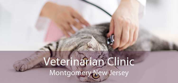 Veterinarian Clinic Montgomery New Jersey