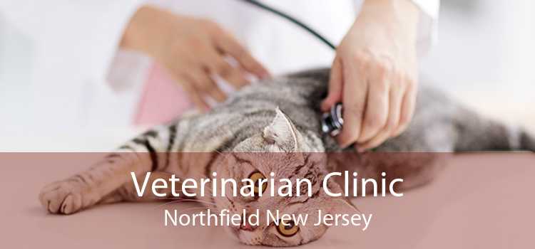 Veterinarian Clinic Northfield New Jersey