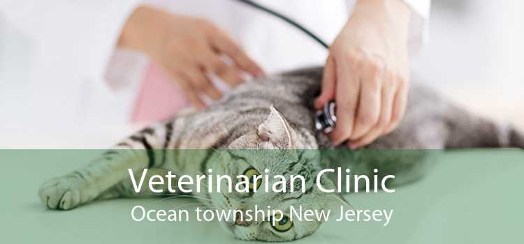 Veterinarian Clinic Ocean township New Jersey