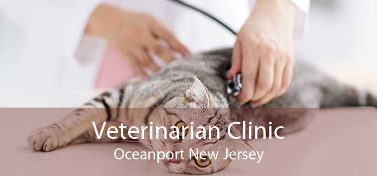 Veterinarian Clinic Oceanport New Jersey