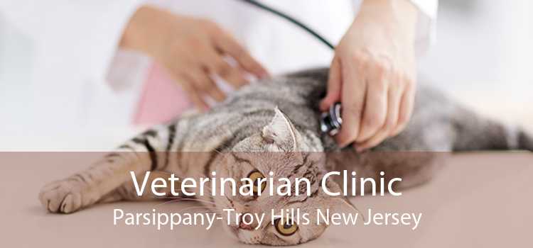Veterinarian Clinic Parsippany-Troy Hills New Jersey