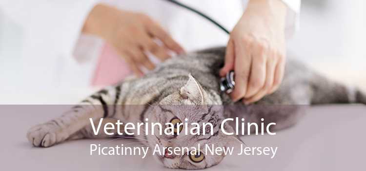 Veterinarian Clinic Picatinny Arsenal New Jersey