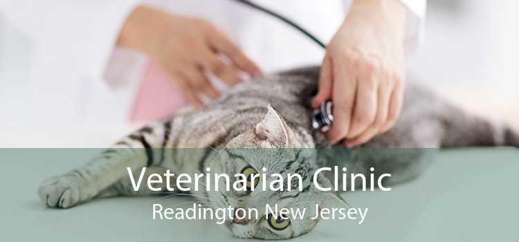 Veterinarian Clinic Readington New Jersey