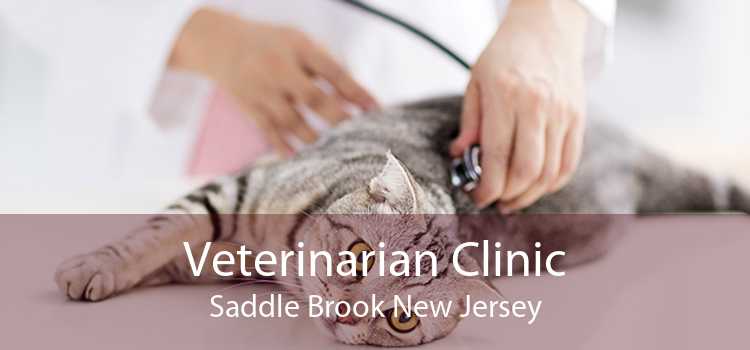 Veterinarian Clinic Saddle Brook New Jersey