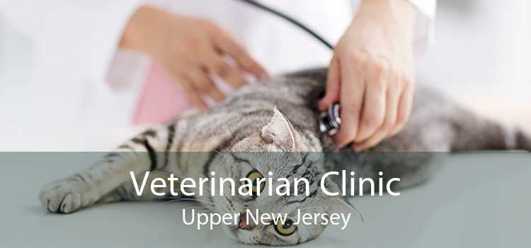 Veterinarian Clinic Upper New Jersey