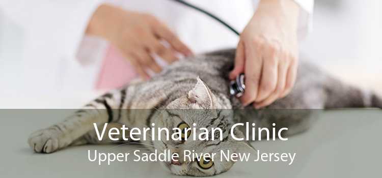 Veterinarian Clinic Upper Saddle River New Jersey