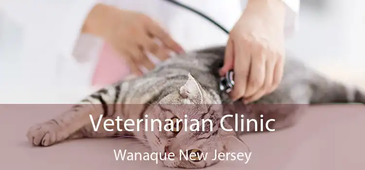 Veterinarian Clinic Wanaque New Jersey