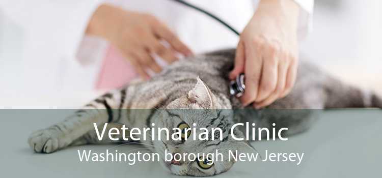 Veterinarian Clinic Washington borough New Jersey
