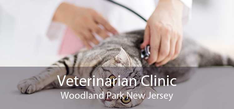 Veterinarian Clinic Woodland Park New Jersey